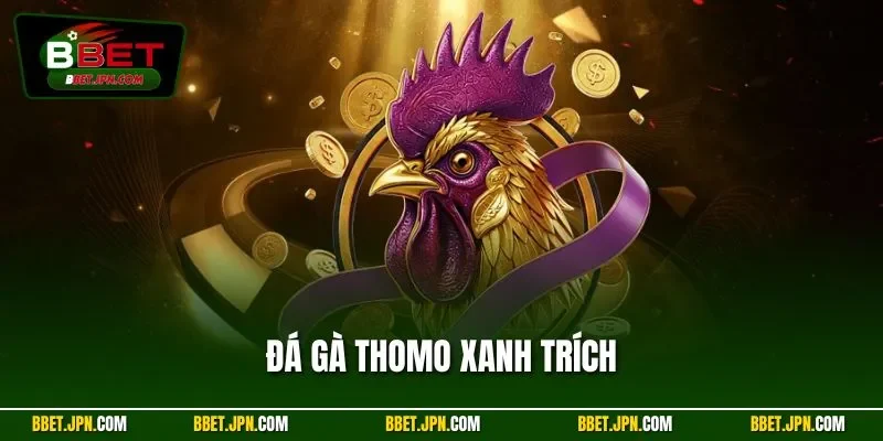 Đá Gà Thomo Xanh Trích – Chiến Kê Lừng Danh Đấu Trường BBET